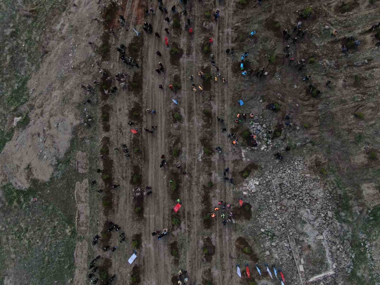 Bu sefer fidanlar deprem şehitleri için dikildi