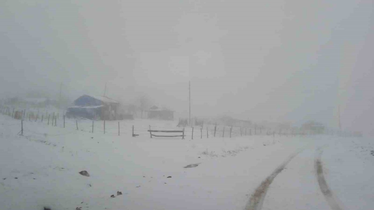 Ordu’nun yüksek kesimleri karla kaplandı