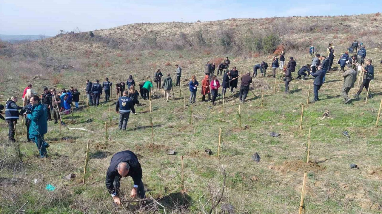 Deprem şehitleri için 30 bin fidan toprakla buluşuyor