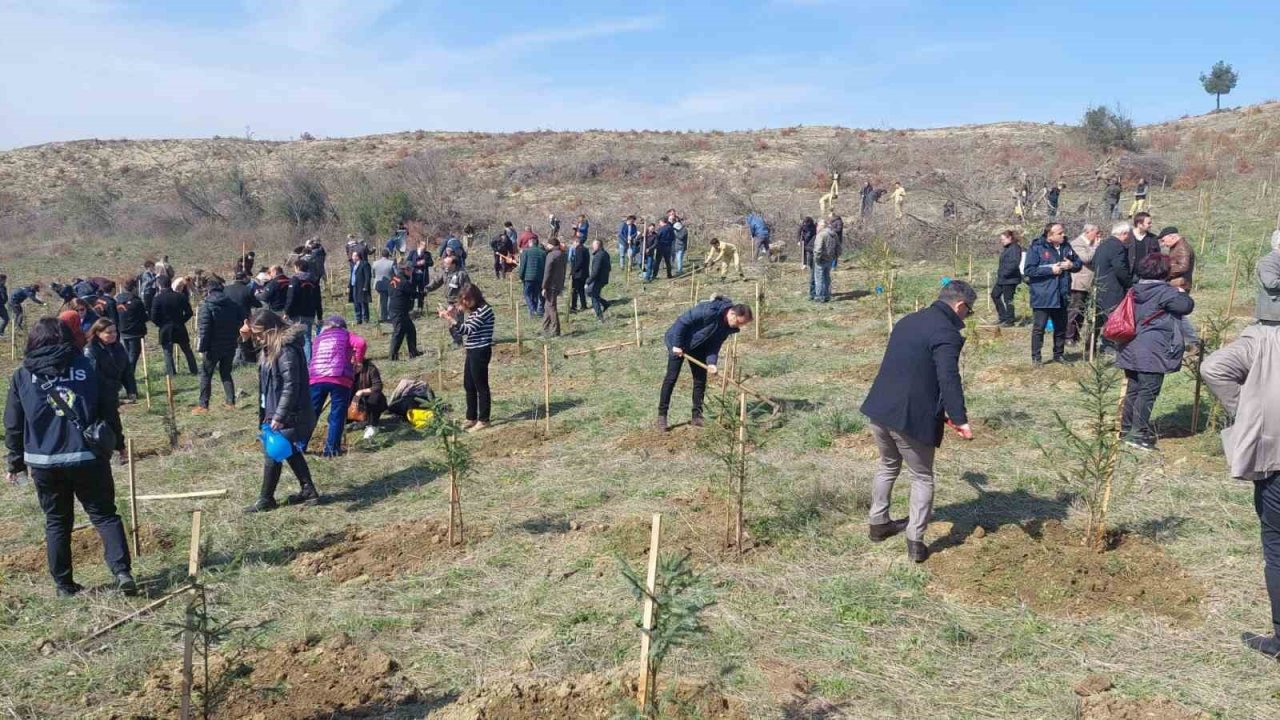 Deprem şehitleri için 30 bin fidan toprakla buluşuyor