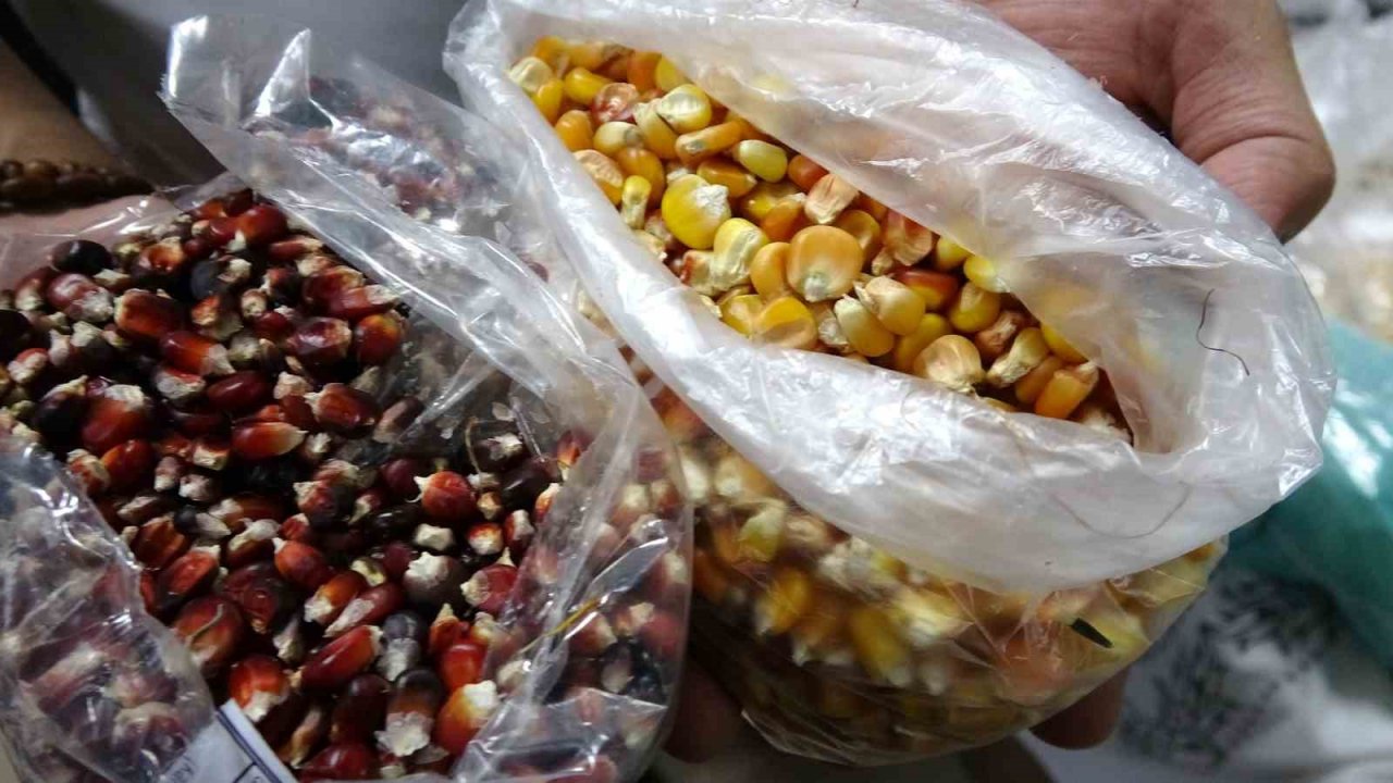 Ata tohumu takas etkinliği yoğun ilgi gördü