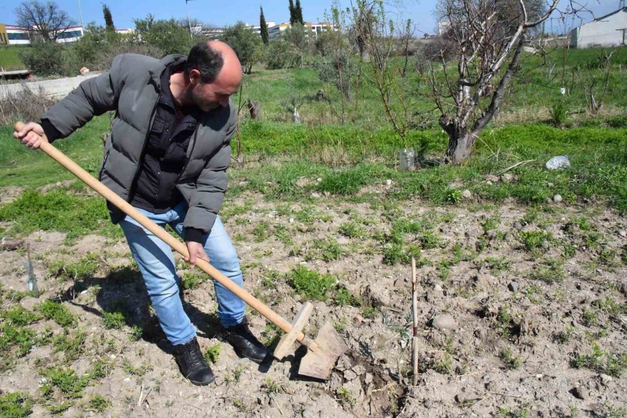 Fidanlar Yunusemre’de toprakla buluşuyor