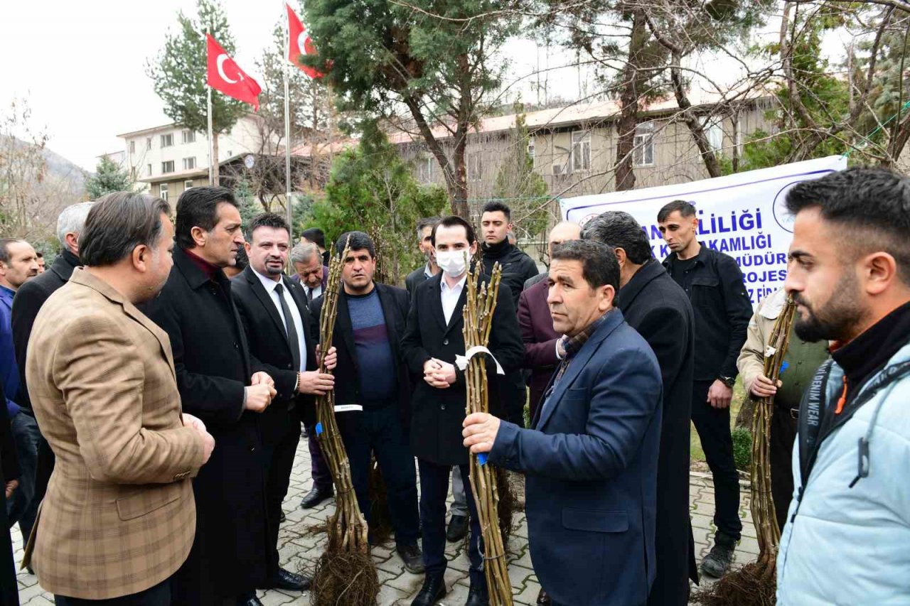 Çatak’ta 19 bin 250 ceviz fidanı dağıtıldı