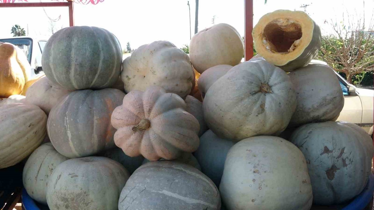 Ramazan’ın gözde tatlısının yapıldığı bal kabağına talep arttı