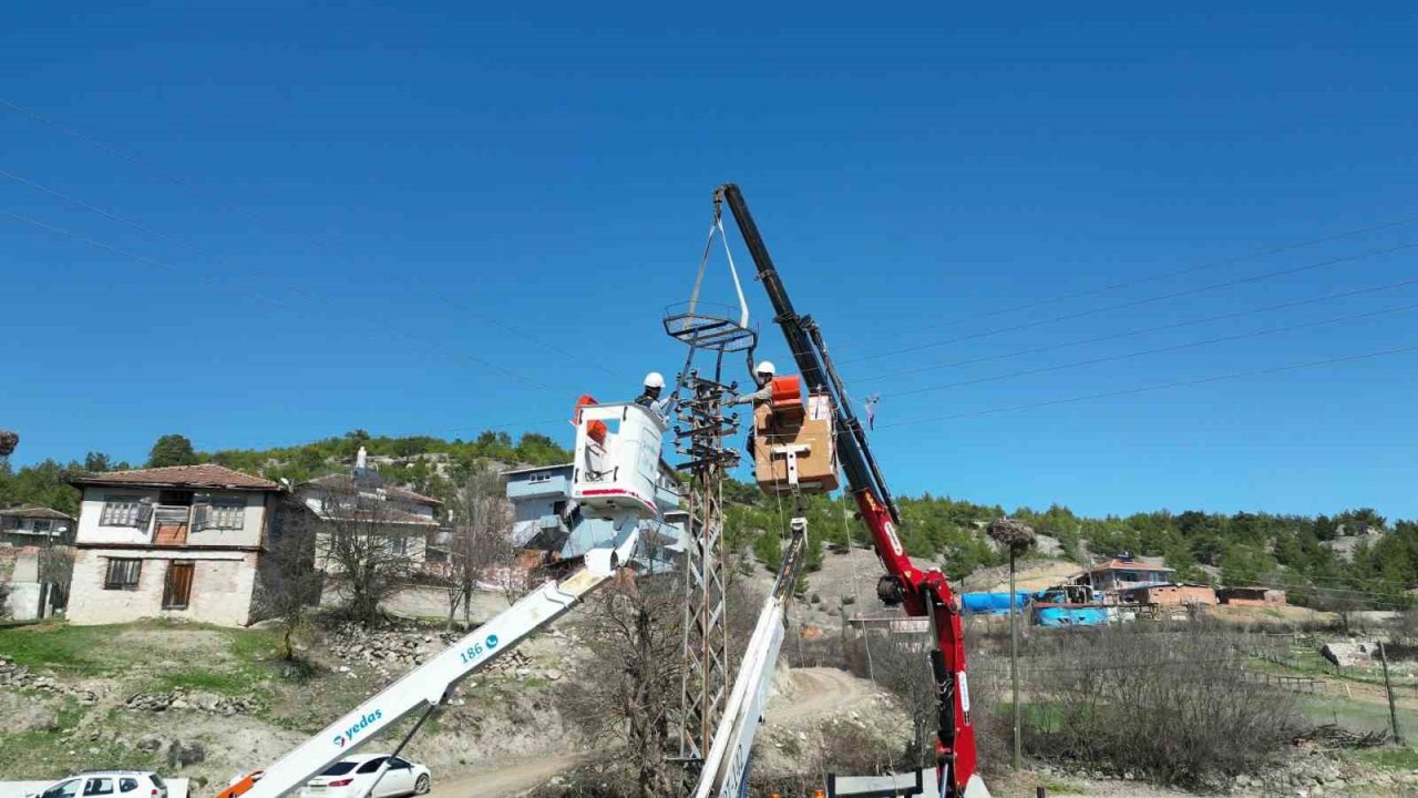 Leylek ölümlerini azaltmak için elektrik direklerine özel yuvalar taktılar