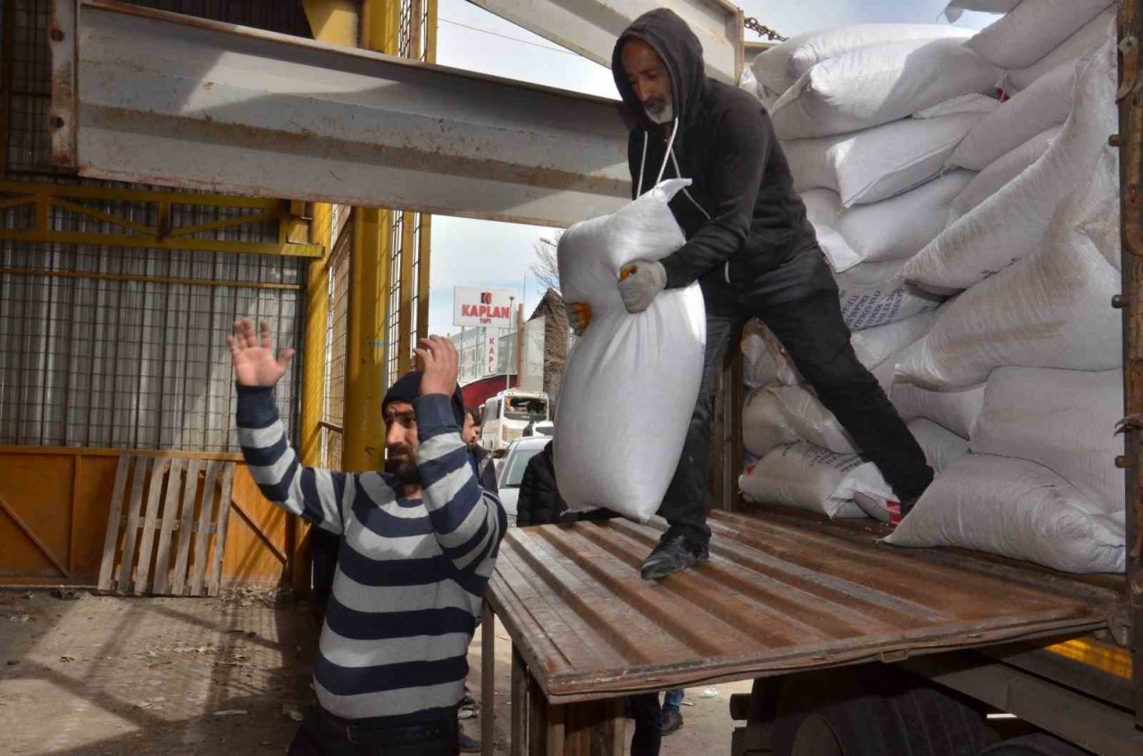 Elbistan’da üreticilere yüzde 75’i hibe destekli nohut tohumu dağıtıldı