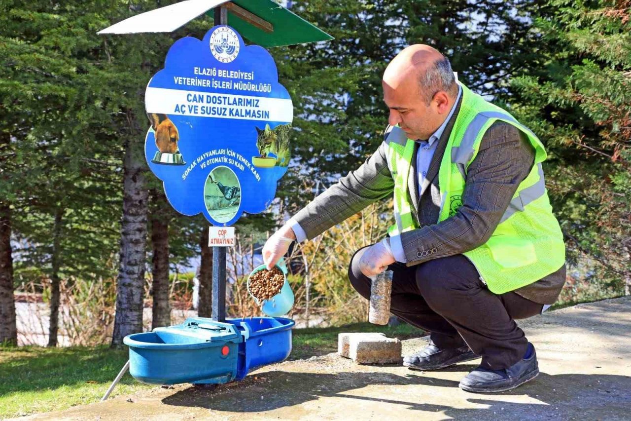 Elazığ Belediyesi, Ramazan ayı öncesi sokak hayvanlarını unutmadı