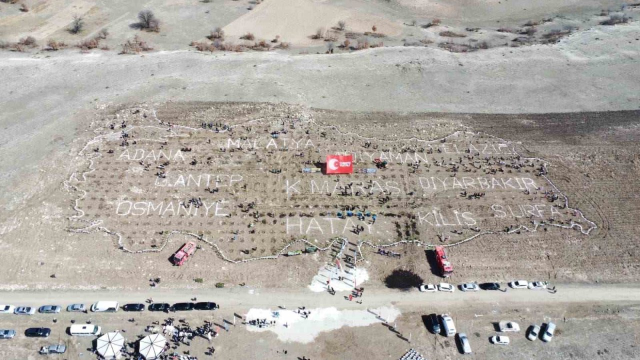Fidanlar depremde hayatını kaybedenler anısına toprakla buluştu