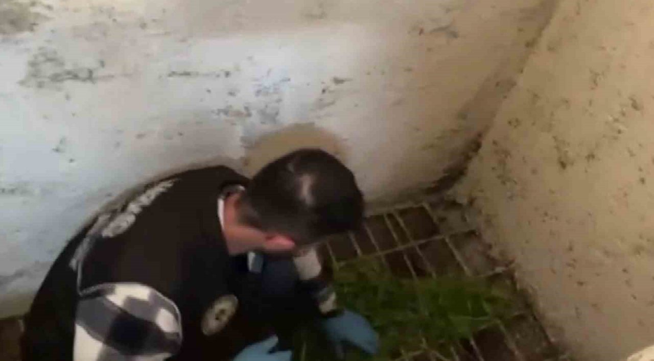 Gaziantep’te sosyal medya operasyonu: 11 gözaltı