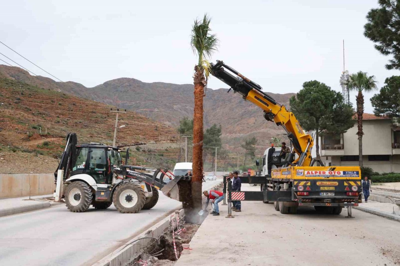 Marmaris’te palmiyeler toprakla buluştu