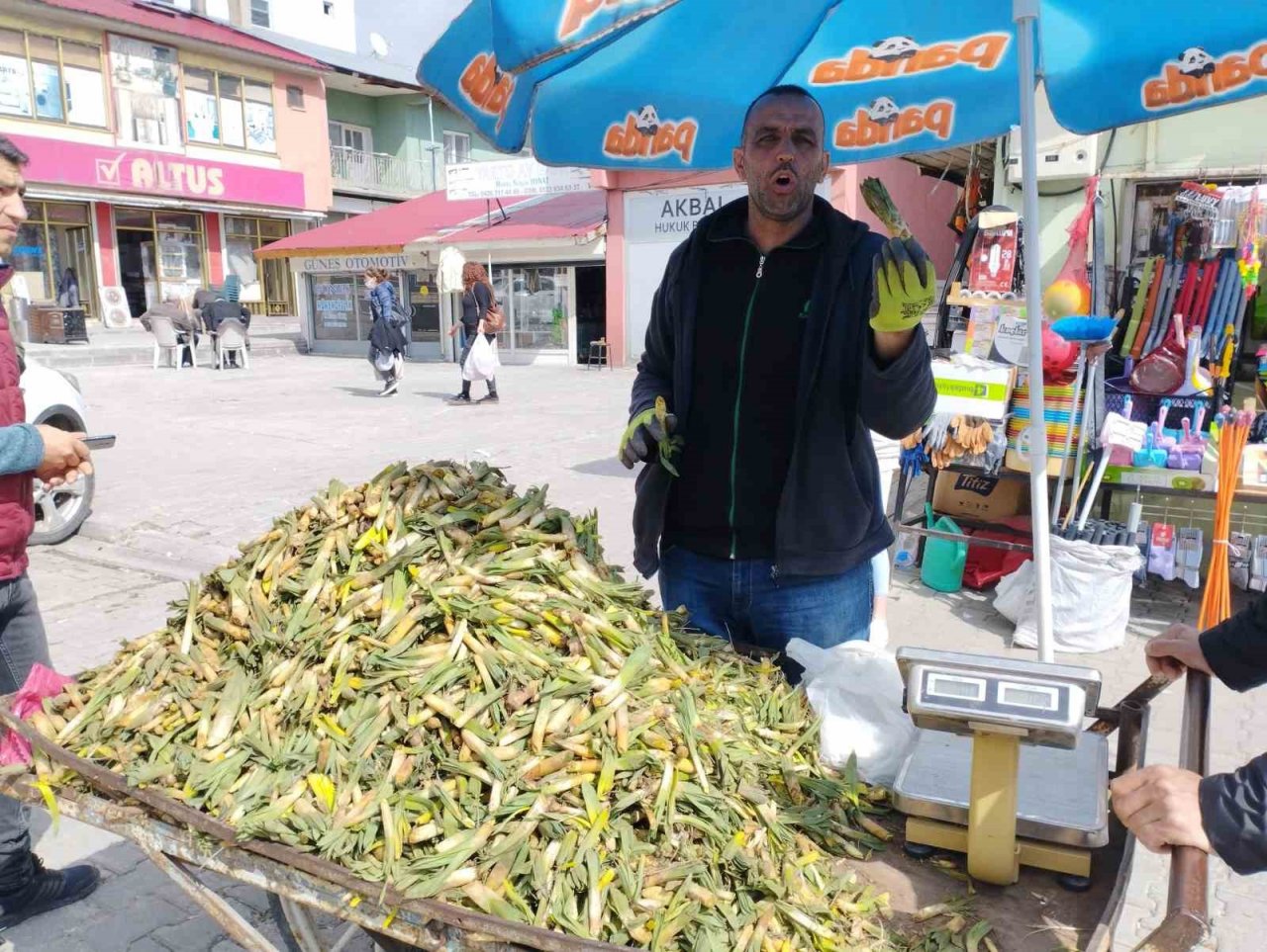 Gülbahar bitkisi tezgâhlarda yerini aldı