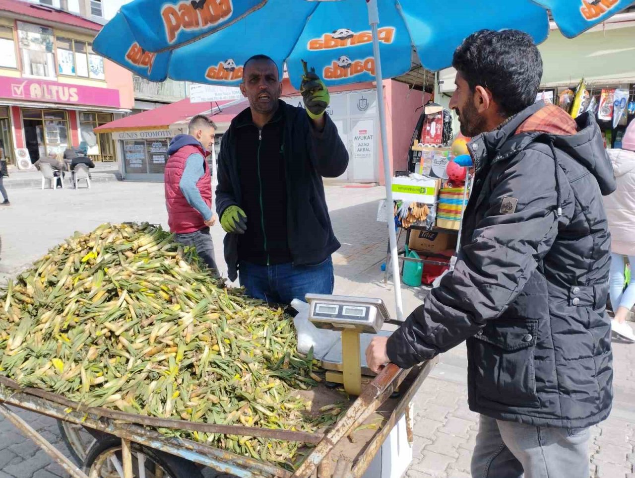 Gülbahar bitkisi tezgâhlarda yerini aldı