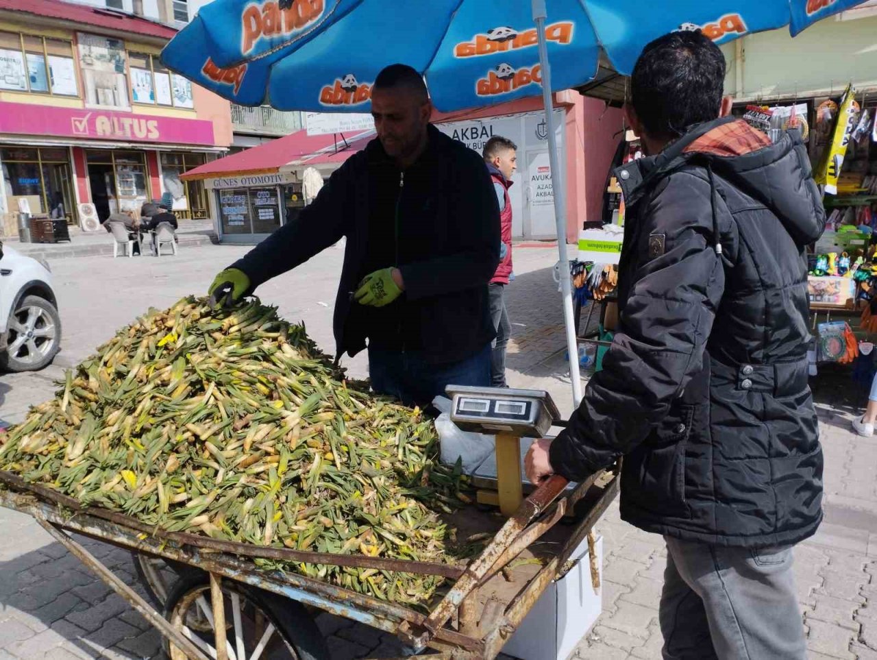 Gülbahar bitkisi tezgâhlarda yerini aldı