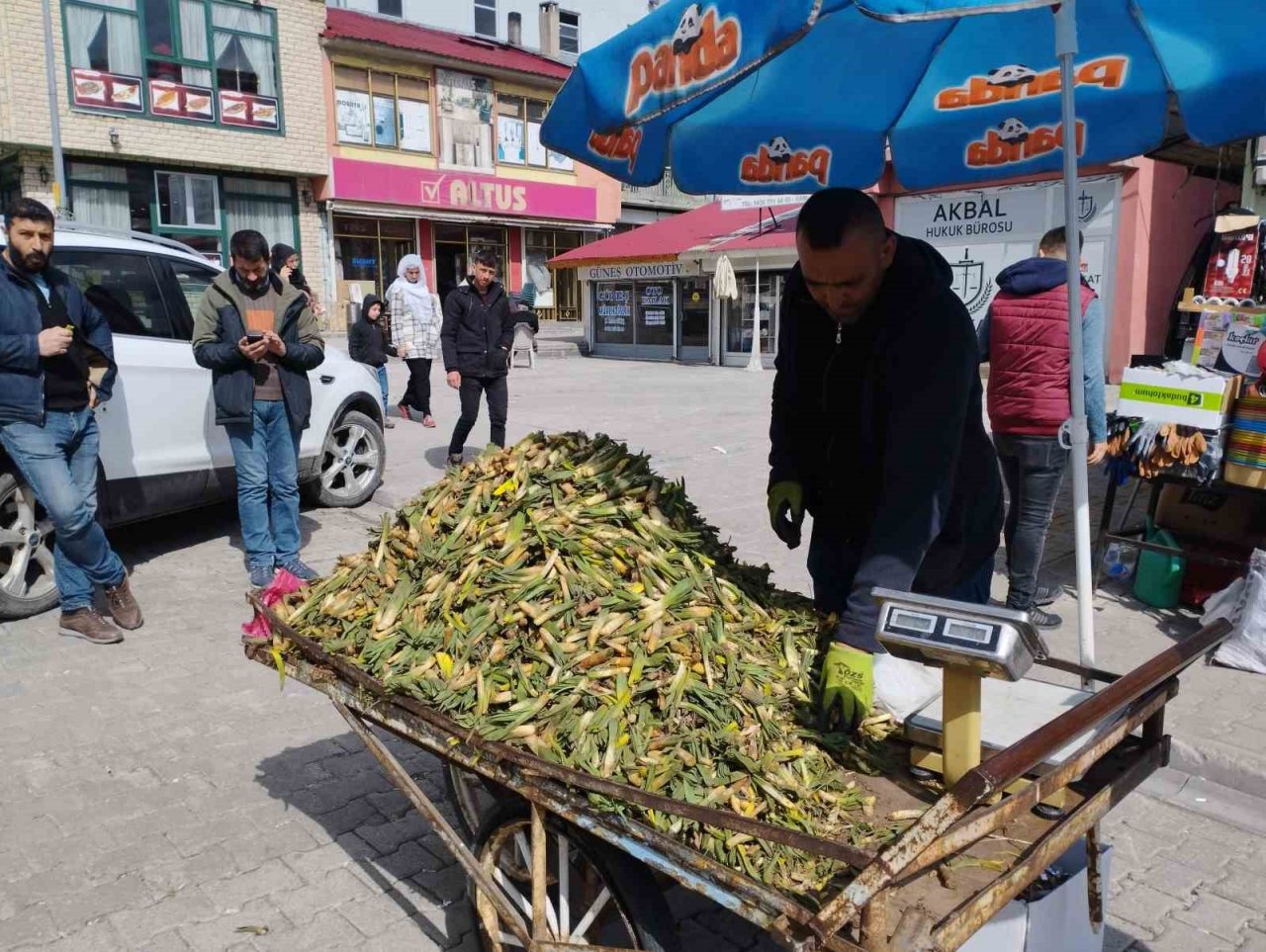 Gülbahar bitkisi tezgâhlarda yerini aldı