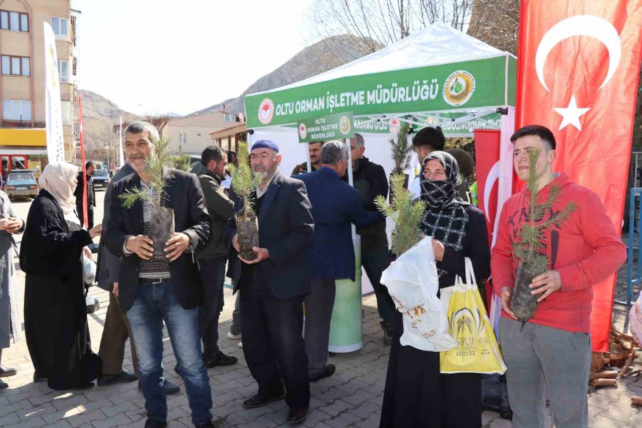 Orman haftası dolayısıyla ücretsiz fidan dağıtımı yapıldı