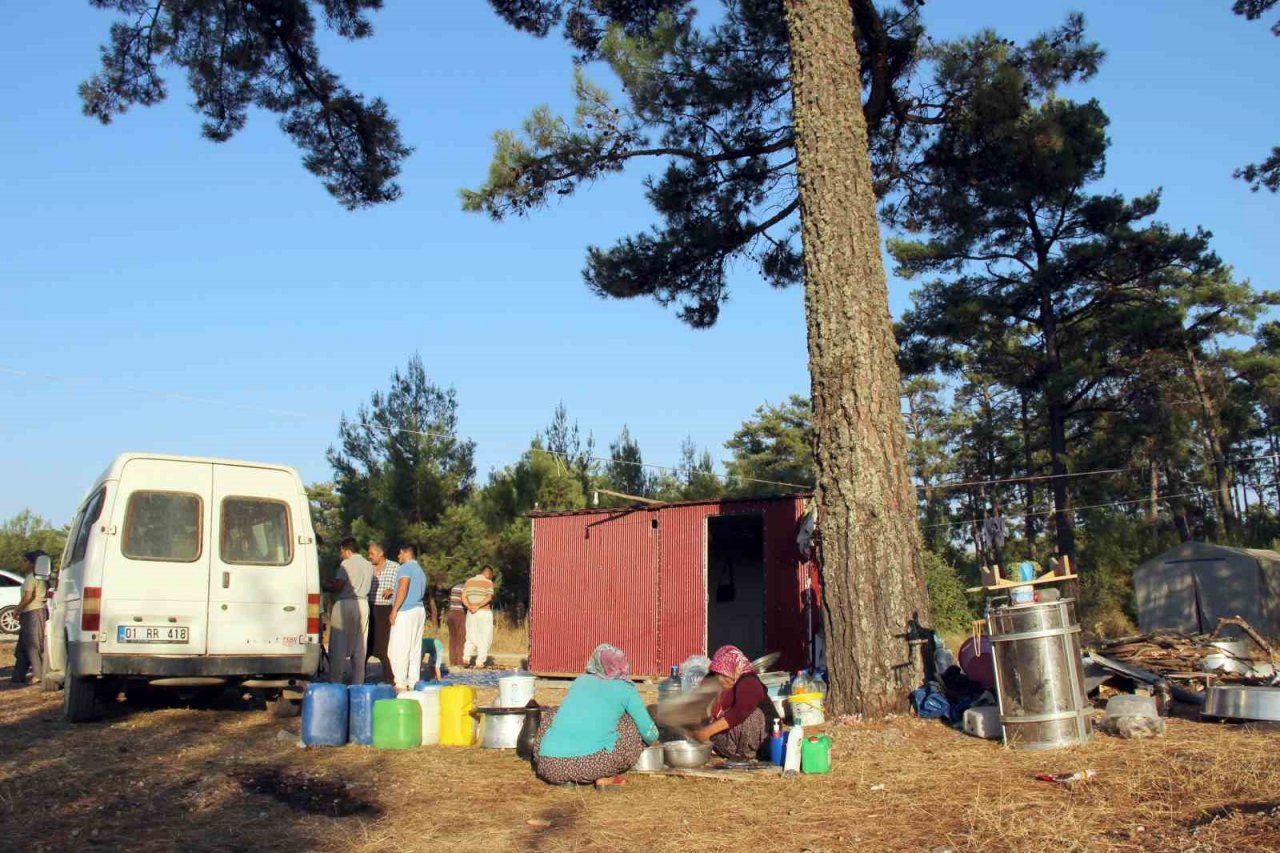 Arıcılara yangın tüpü zorunluluğu