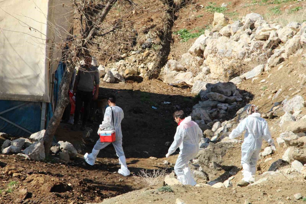 Şırnak’ta şap hastalığına karşı 90 bin büyükbaş aşılanacak