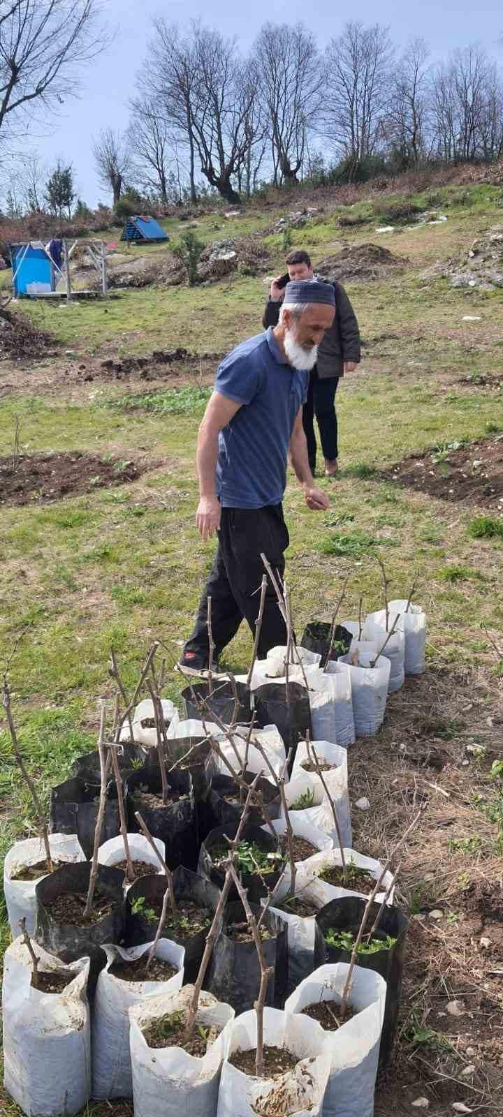 Alaplı’da ’Karaçatlak’ üzümünün üretimi yaygınlaşacak