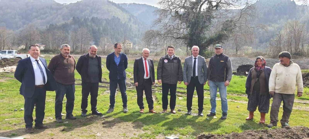 Alaplı’da ’Karaçatlak’ üzümünün üretimi yaygınlaşacak