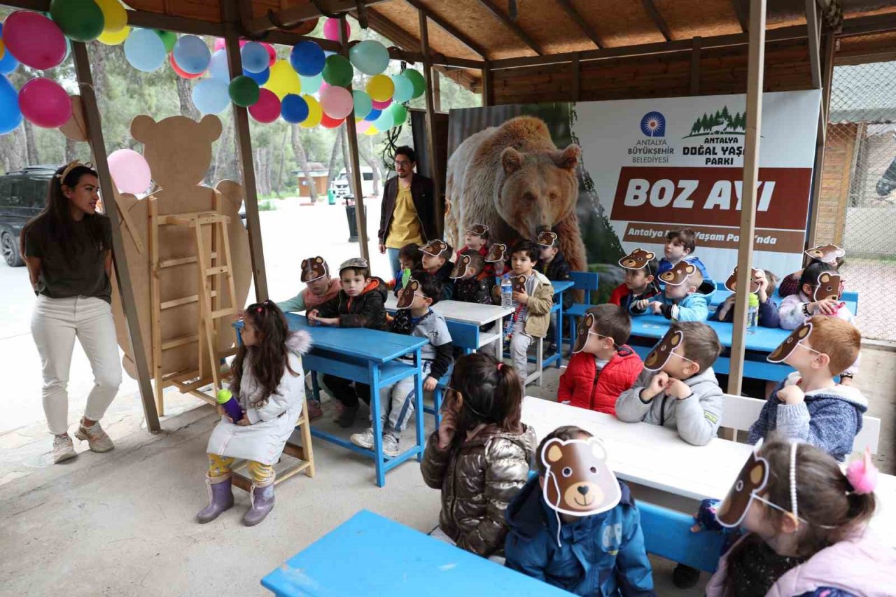 Dünya Ayı Günü’nde ayılara balkabağı pastası