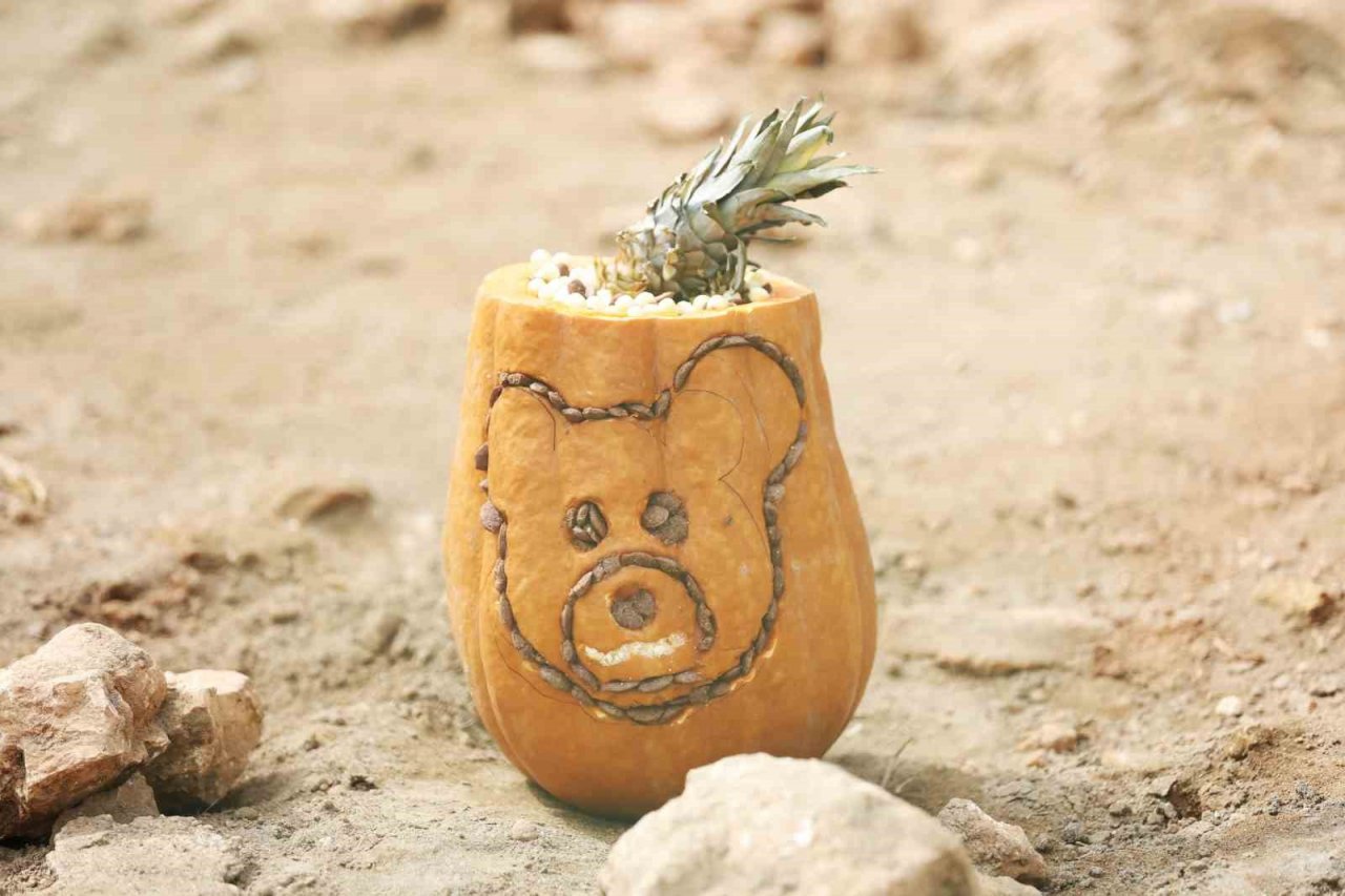 Dünya Ayı Günü’nde ayılara balkabağı pastası