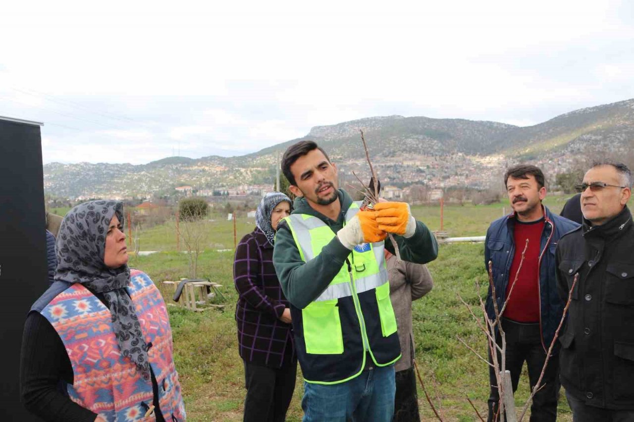 Akseki ve Demre’de budama ve aşılama eğitimi verildi