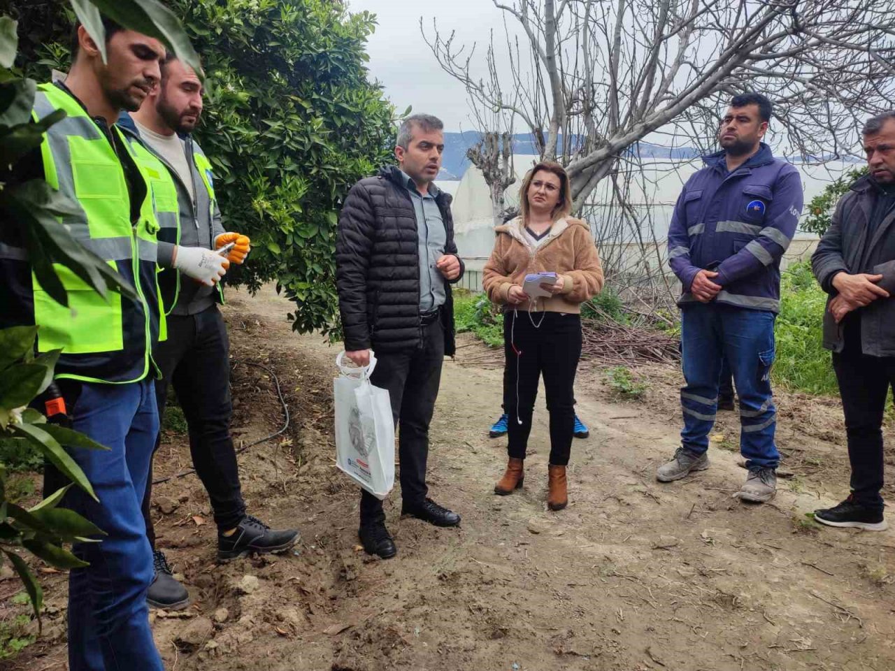 Akseki ve Demre’de budama ve aşılama eğitimi verildi