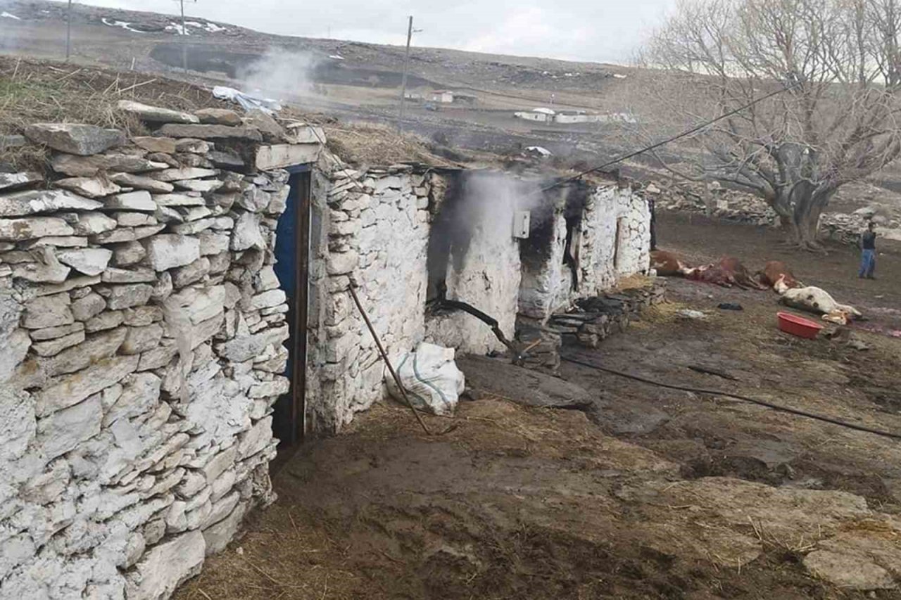 Ardahan’da ahırda çıkan yangın korkuttu