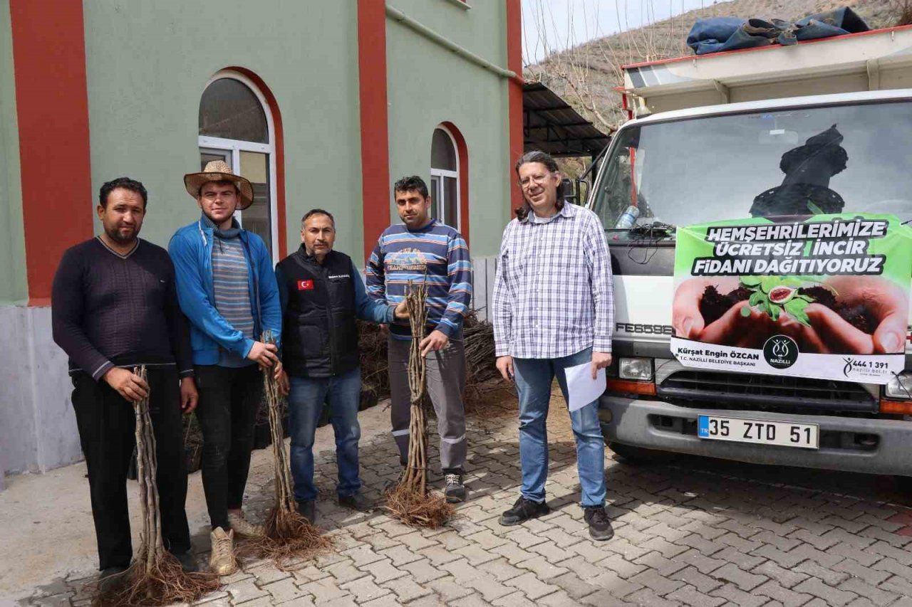 Nazilli’de 16 mahallede 10 bin incir fidanı dağıtıldı