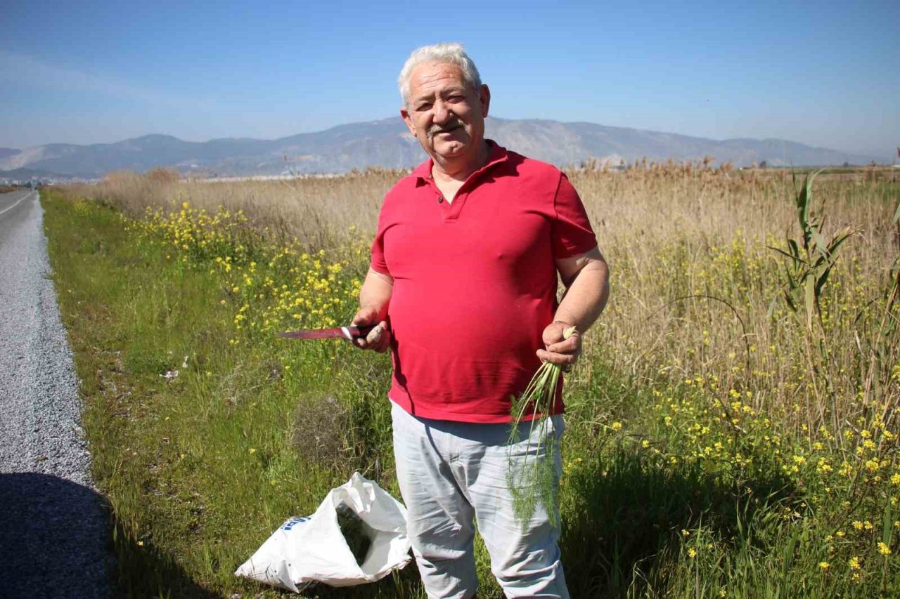 Yol kenarından topladığı otlardan para kazanıyor