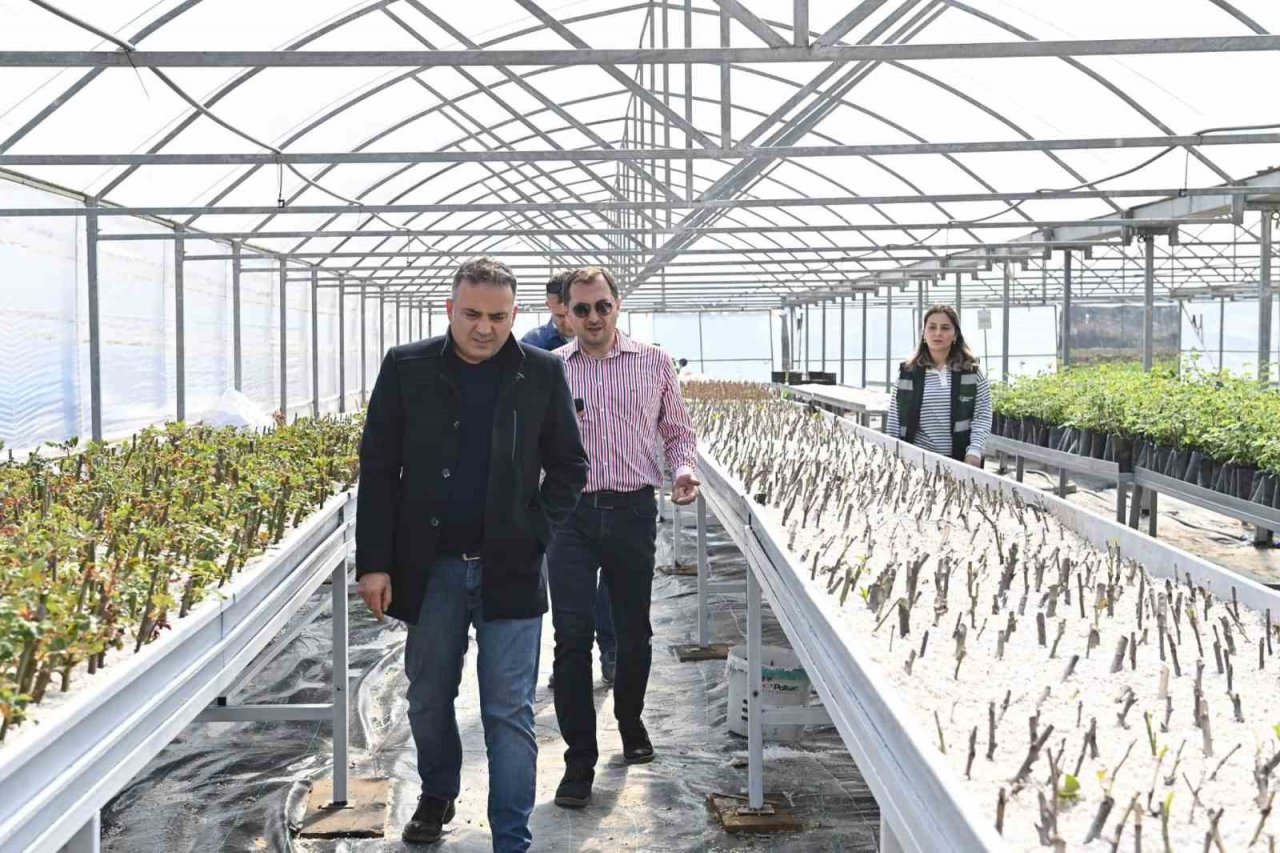 Tarım Vadisi yeşilleniyor