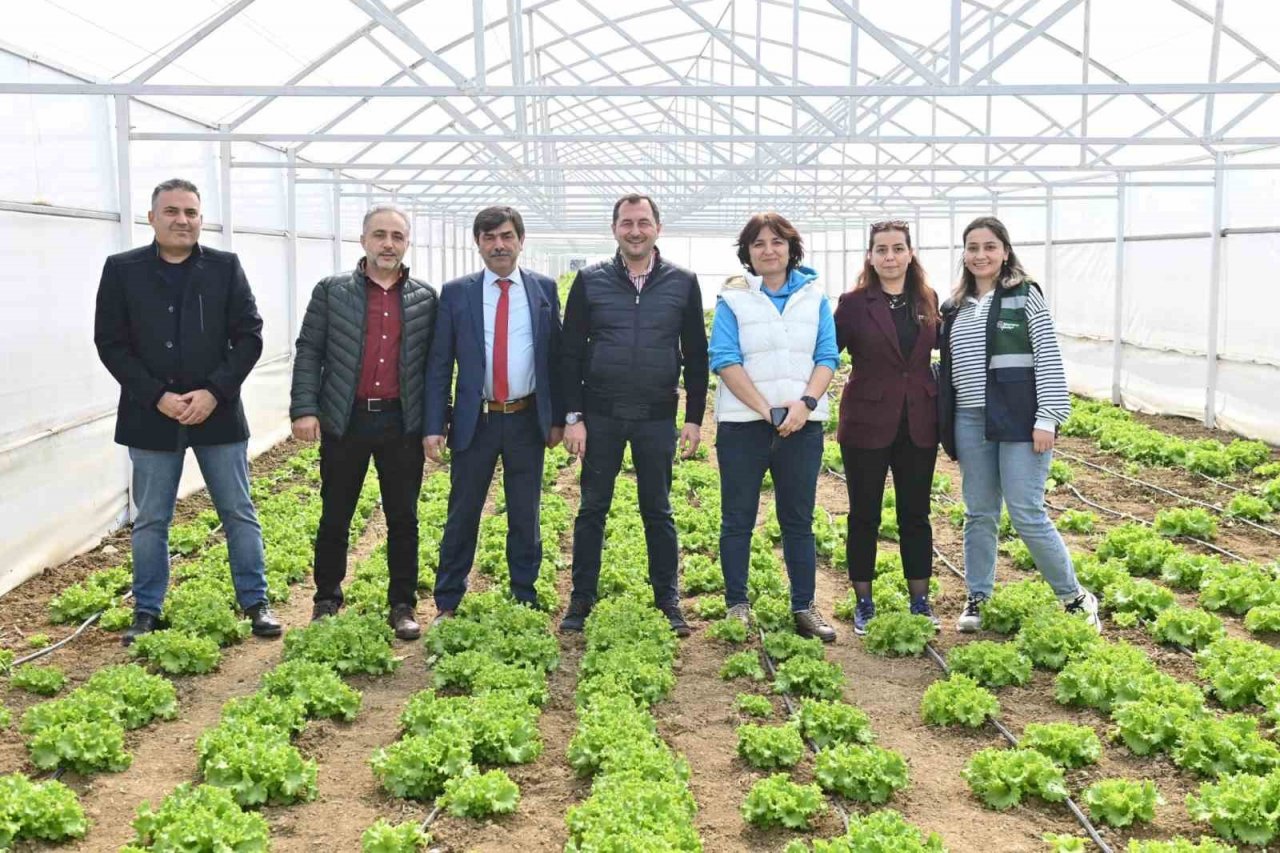 Tarım Vadisi yeşilleniyor