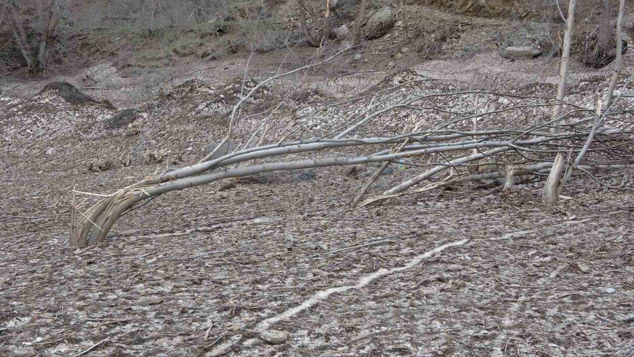 İnen çığın verdiği zarar bir ay sonra ortaya çıktı