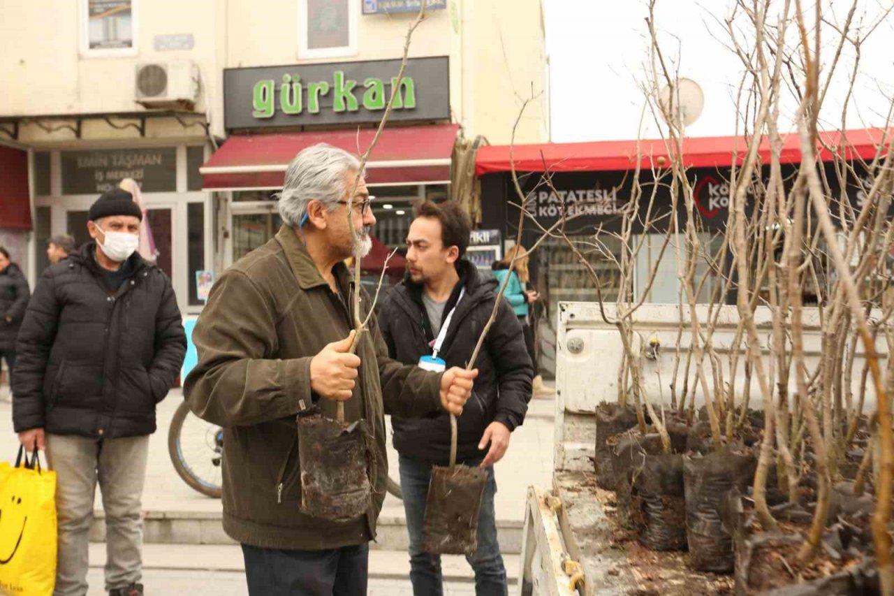 Bolu’da 4 bin adet fidan ücretsiz dağıtıldı