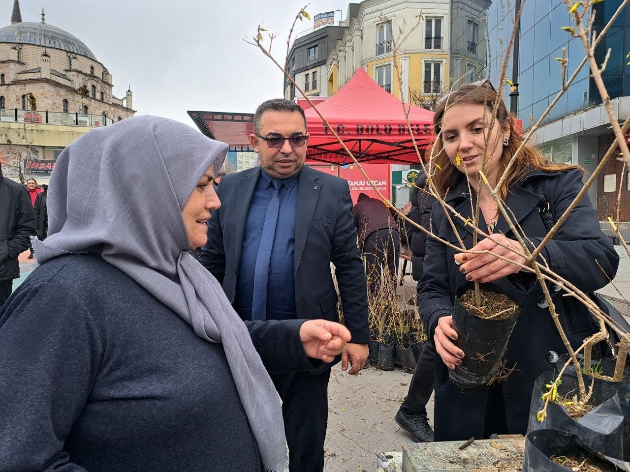 Bolu’da 4 bin adet fidan ücretsiz dağıtıldı