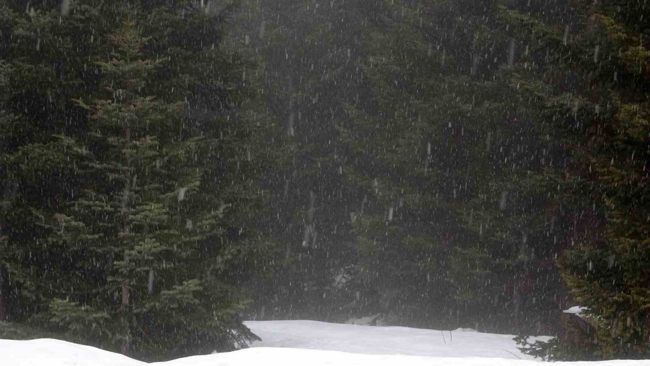 Bolu’nun yüksek kesimlerinde kar yağışı etkili oluyor