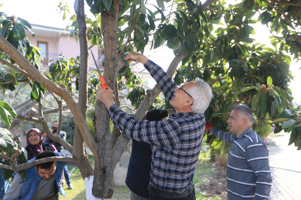 Pamukkale Belediyesinden budama ve aşılama kursu