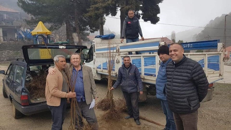 Atıl alanlar kestanelerle dolacak