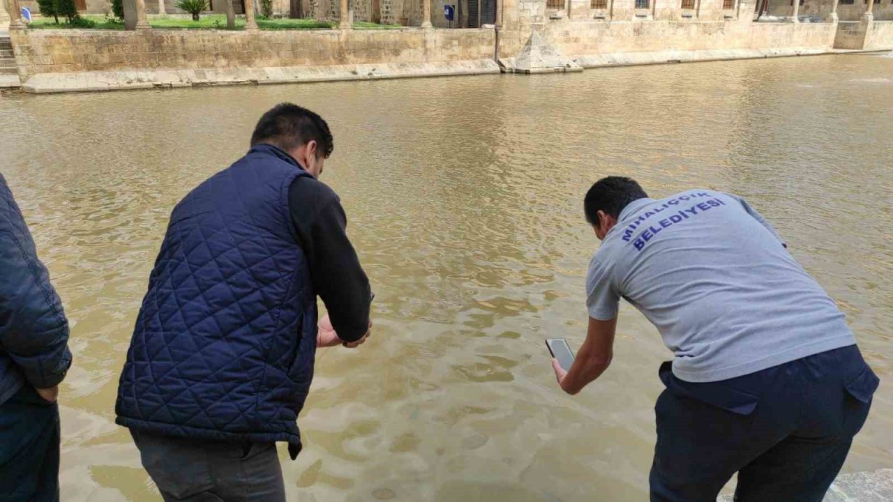 Balıklıgöl’ün suyu berraklaşıyor