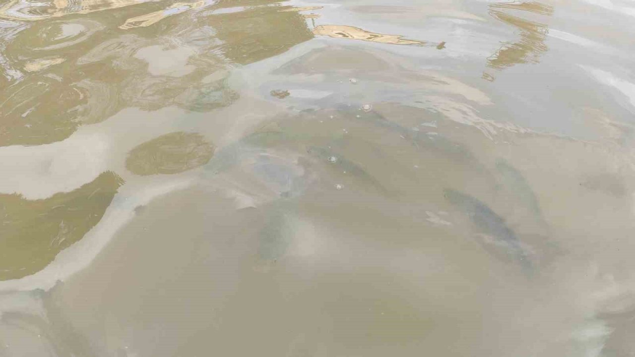 Balıklıgöl’ün suyu berraklaşıyor