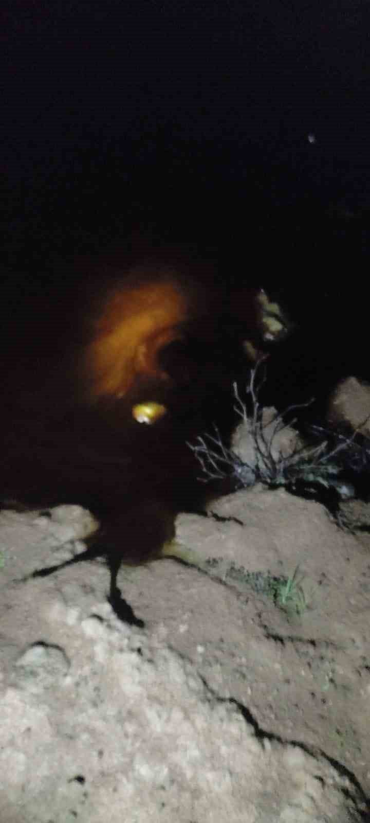 Boru hattından sızan ham petrol Dicle Nehri’ne aktı