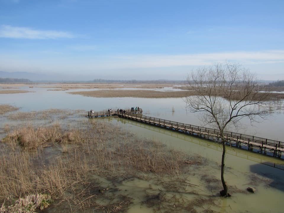 Öğrenciler Efteni Gölünde kuşları gözlemledi