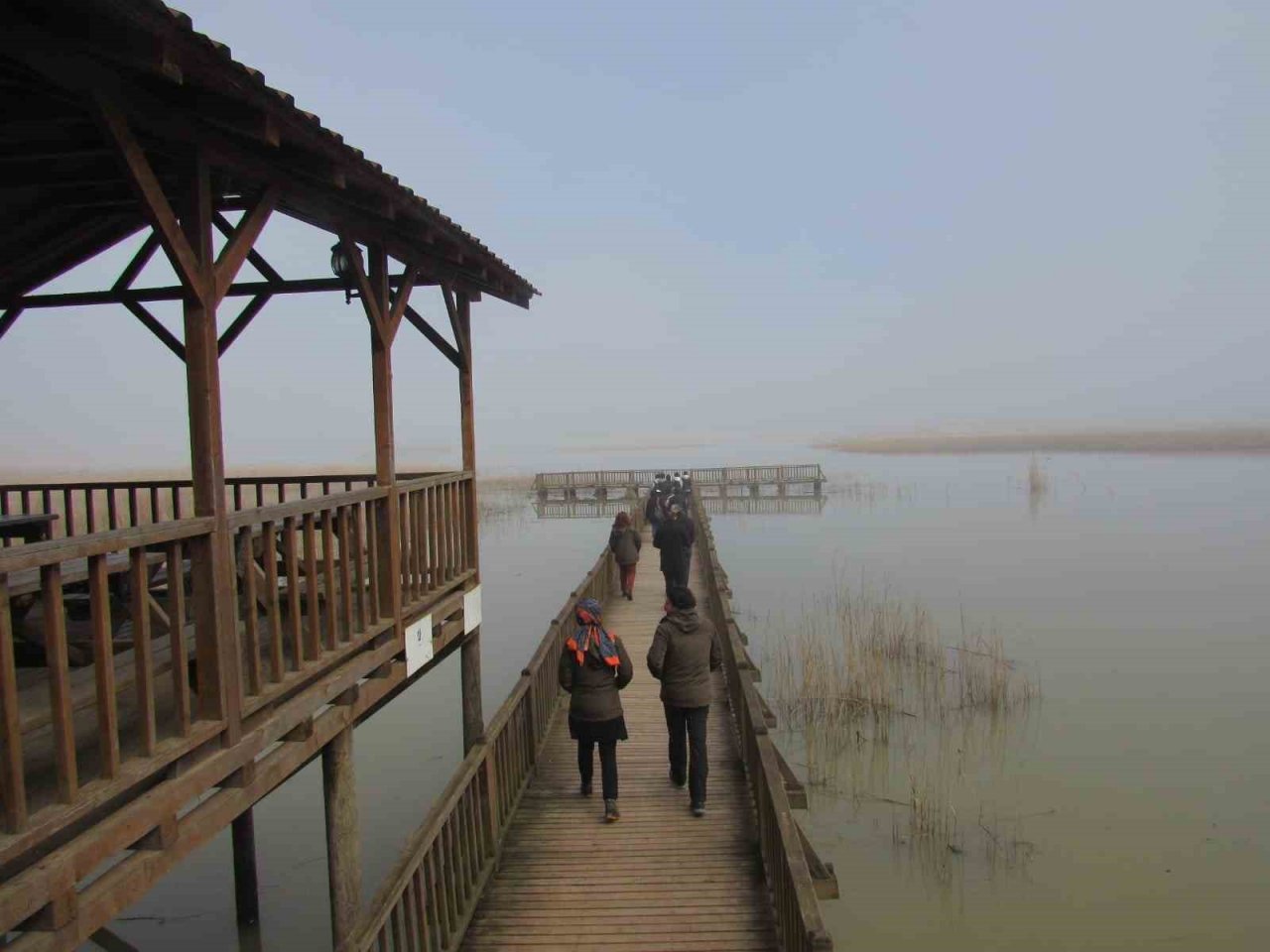 Öğrenciler Efteni Gölünde kuşları gözlemledi