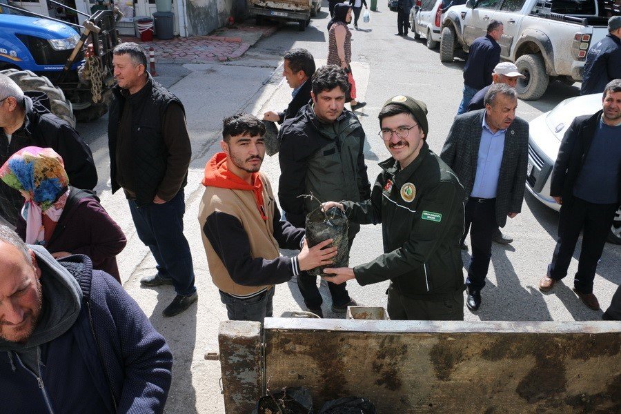 Bin adet Ihlamur fidanı dağıtıldı