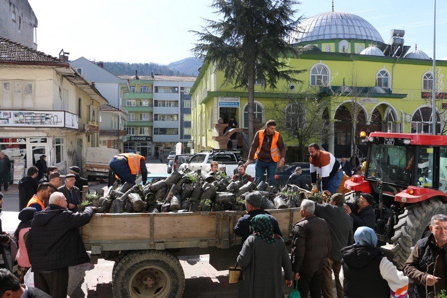 Bin adet Ihlamur fidanı dağıtıldı