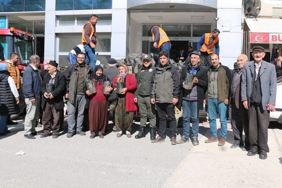 Bin adet Ihlamur fidanı dağıtıldı