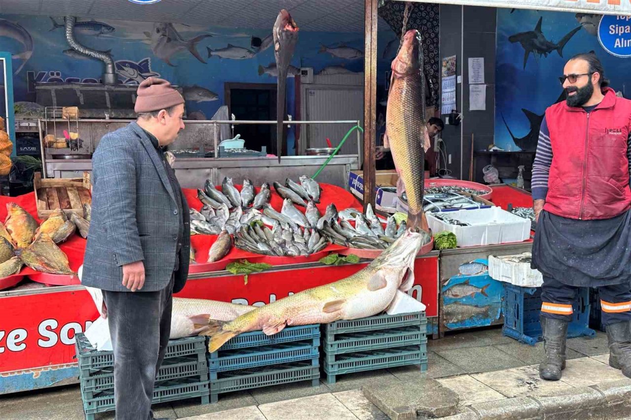 Balıkçı tezgahlarında çeşit arttı, fiyat düştü