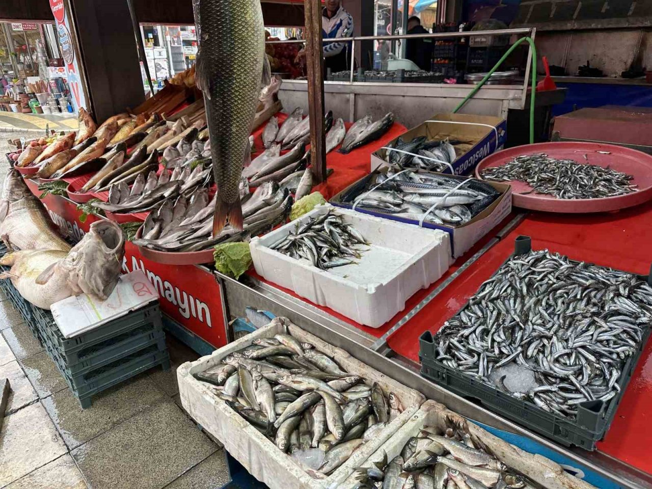 Balıkçı tezgahlarında çeşit arttı, fiyat düştü