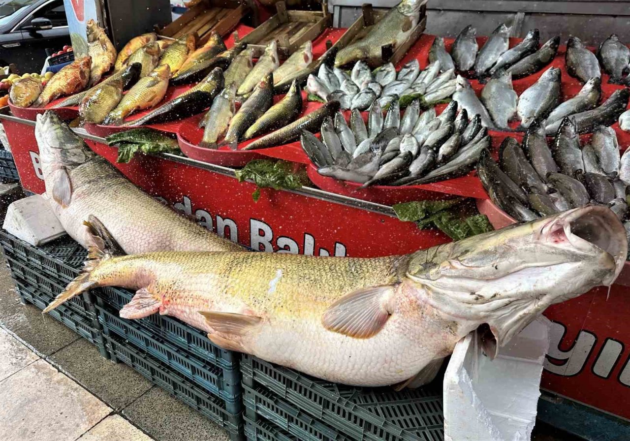 Balıkçı tezgahlarında çeşit arttı, fiyat düştü