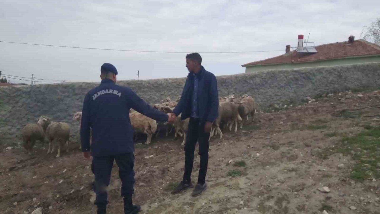 Eskişehir’de 33 küçükbaş hayvan dron desteğiyle bulundu